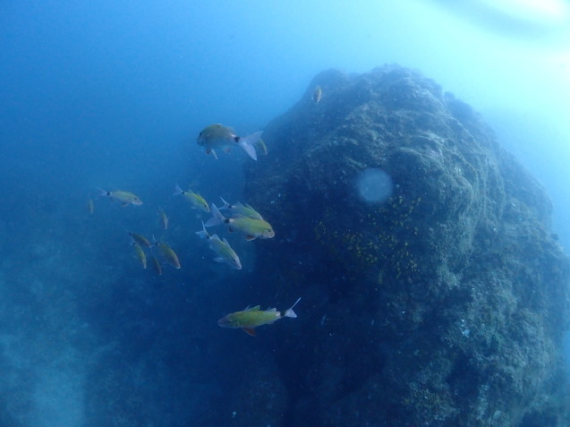 e0115199_13480148.jpg