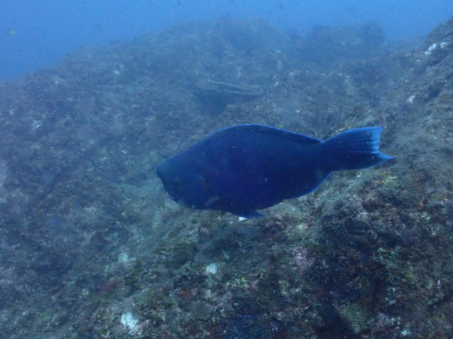 e0115199_13480871.jpg