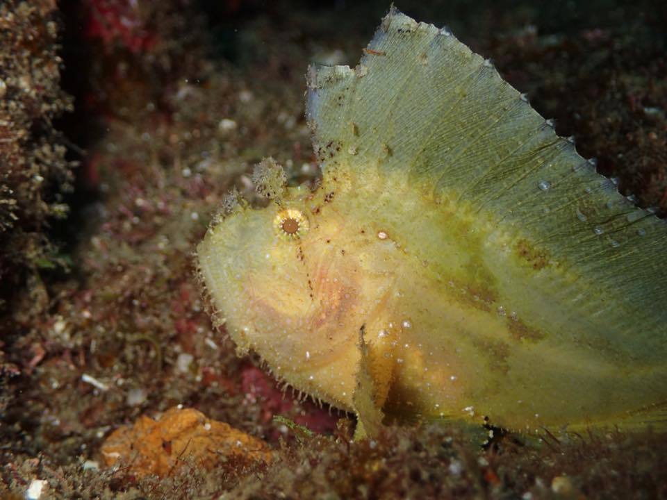 e0115199_16263023.jpg