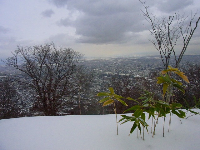 f0157901_21515237.jpg
