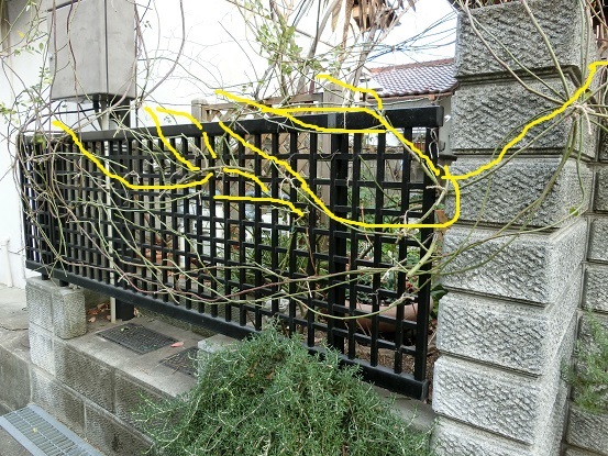 e0234004_18525101.jpg