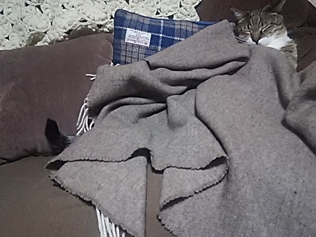 f0316507_09040265.jpg