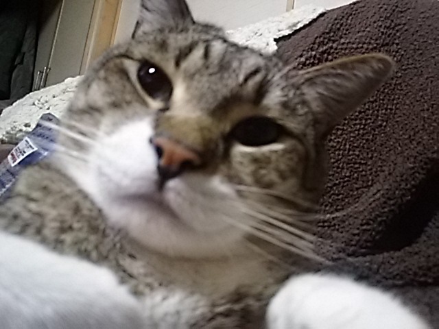 f0316507_09044635.jpg
