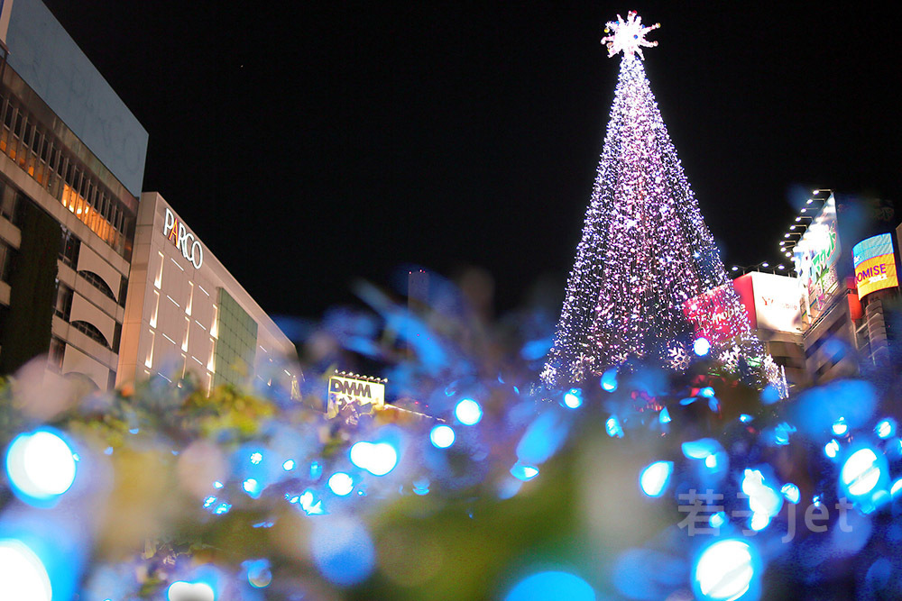 b0120108_21273285.jpg