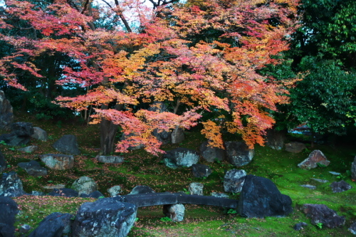 a0263109_14503615.jpg