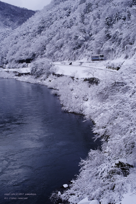 雪に包まれた_d0309612_00191386.jpg