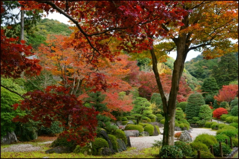 三室戸寺の紅葉_e0177413_10065006.jpg