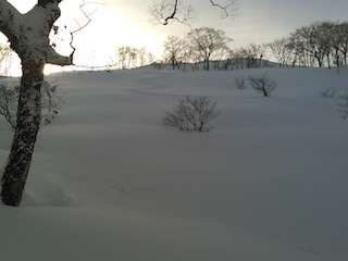 c0359615_08581061.jpg