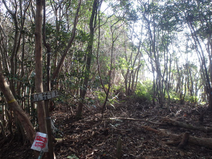 f0193521_10291313.jpg