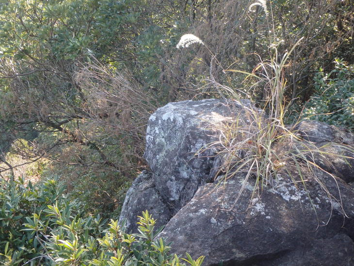 f0193521_11521395.jpg