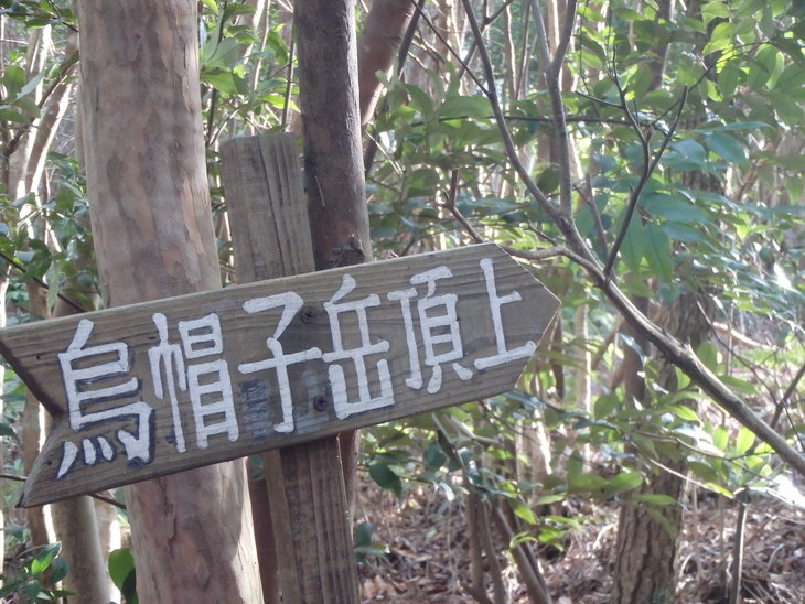 f0193521_928286.jpg