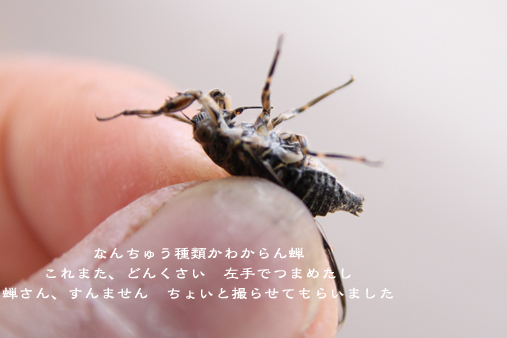 d0042827_17012316.jpg