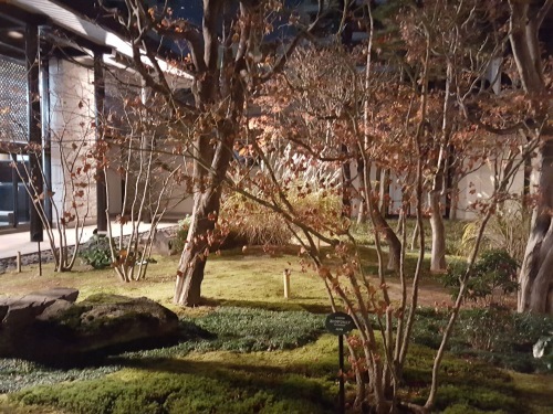 e0016828_10522065.jpg
