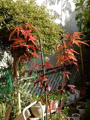e0033229_16274382.jpg