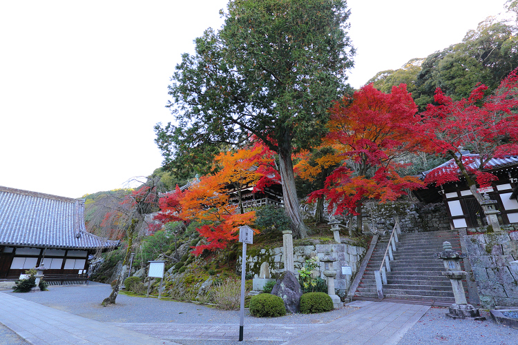 紅葉の京都2017 －総集編（前編）－ _b0169330_1521101.jpg