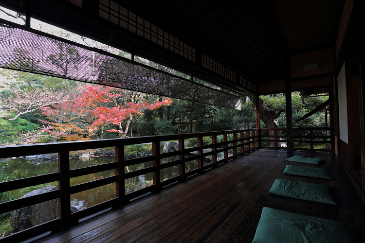 紅葉の京都2017 －総集編（前編）－ _b0169330_1523424.jpg