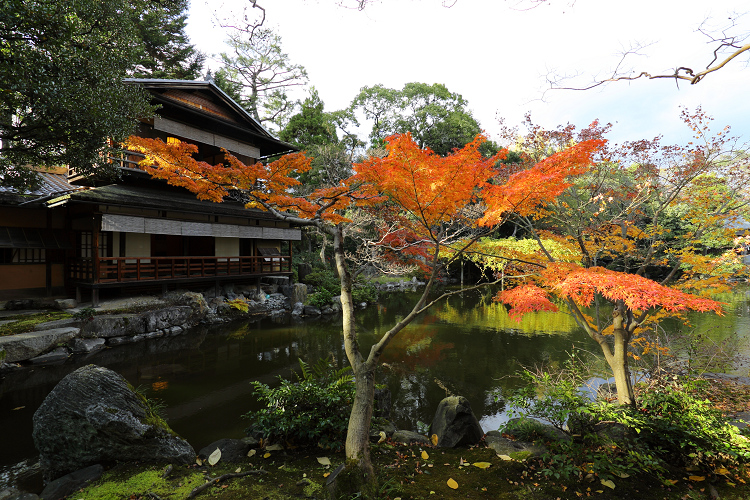 紅葉の京都2017 －総集編（前編）－ _b0169330_1533270.jpg