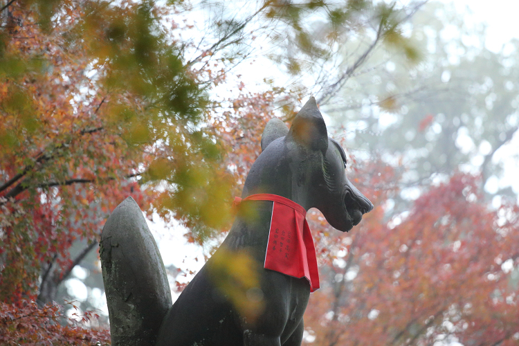 紅葉の京都2017 －総集編（前編）－ _b0169330_822237.jpg