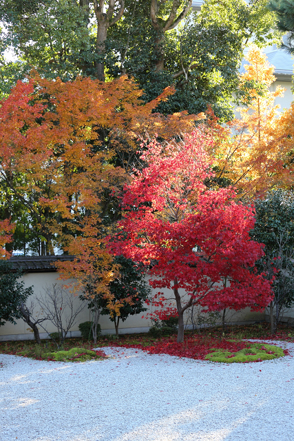 紅葉の京都2017 －総集編（前編）－ _b0169330_8224748.jpg