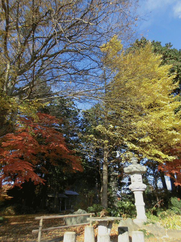 a0126632_16094936.gif