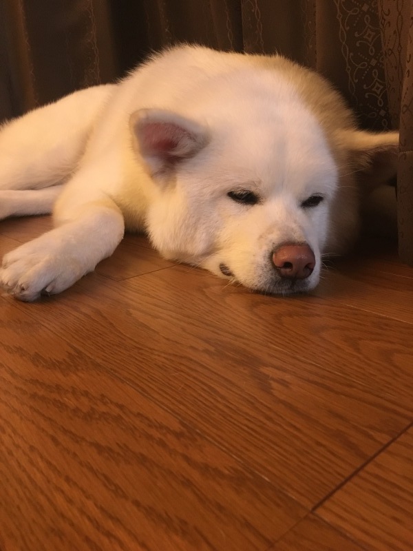 e0364035_01301443.jpeg