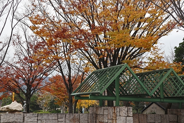 a0242438_19182721.jpg