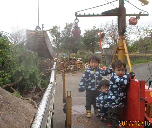 a0051539_17455021.png