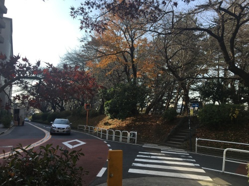 b0330040_22443297.jpeg