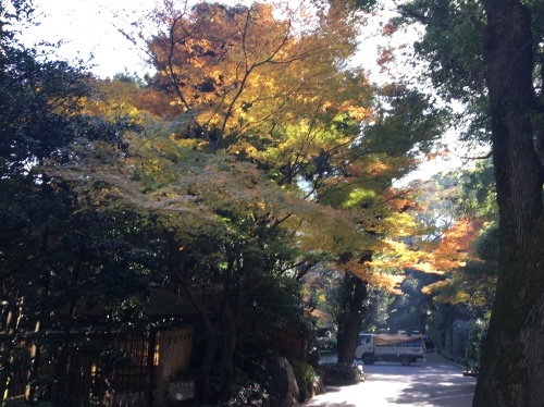 b0330040_23112511.jpeg