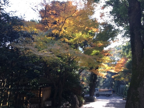 市ヶ谷から青山まで歩く(1)…外濠公園、イグナチオ教会、ホテルニューオータニ_b0330040_23112511.jpeg