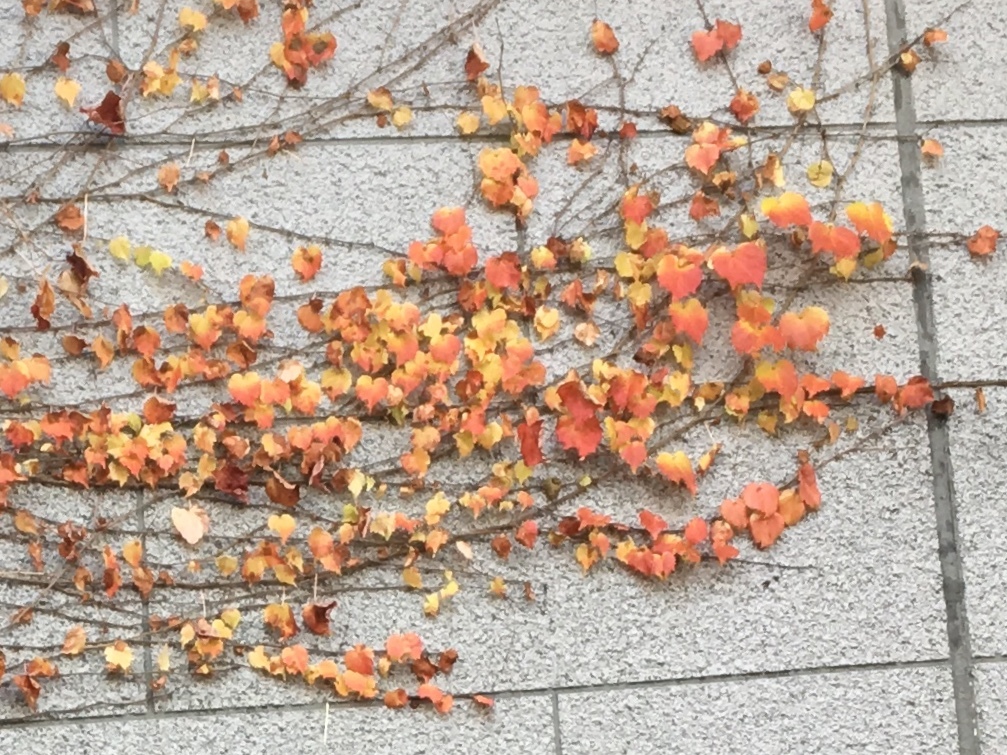 b0330040_23220921.jpeg