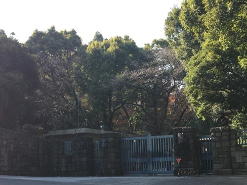 b0330040_23300725.jpeg