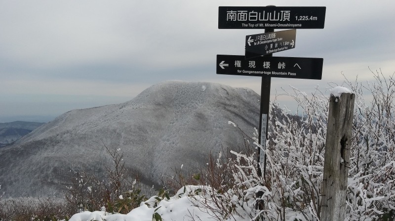 そろそろだか？「おさまりジジ」は。。。_d0347140_18470413.jpg