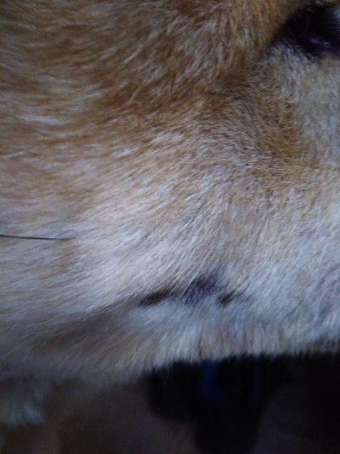 f0250542_17504901.jpg