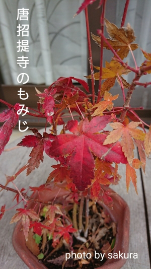 c0129250_15143244.jpg