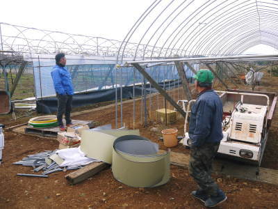 熊本ぶどう 社方園 トンネル式から連棟建てのハウスへ!徹底管理をして育てるための冬の作業の様子(後編)_a0254656_18160833.jpg