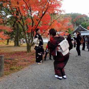 東山の南禅寺でも紅葉を楽しみました。 （撮影：11月25日）_b0112263_10420638.jpg