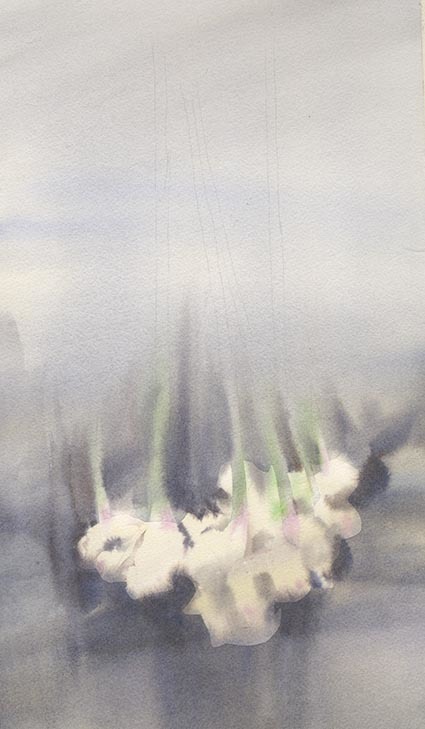 生姜 水彩画_f0176370_16391808.jpg