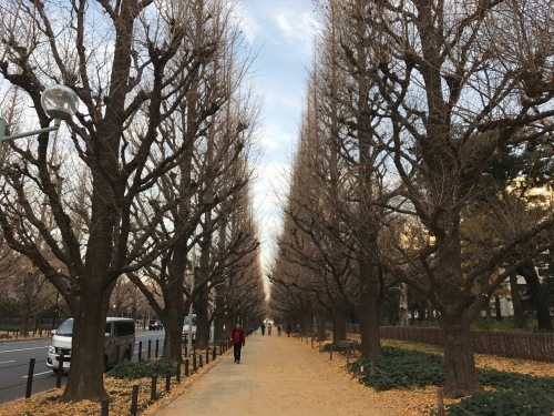 絵画館前から東京体育館散歩_f0054677_08532254.jpg