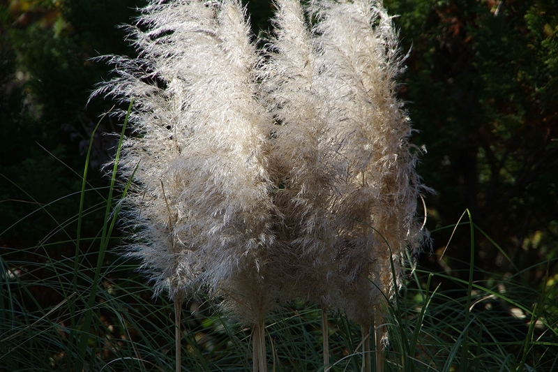 b0018682_23173532.jpg