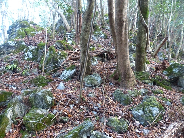 f0357487_22132383.jpg