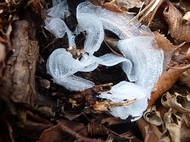 f0357487_22163915.jpg