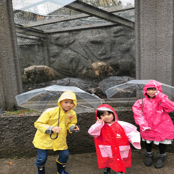 e0113490_00561524.gif