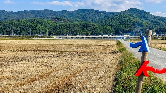 e0176993_07491086.jpg