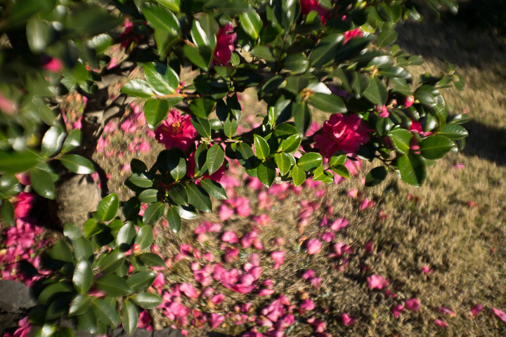 f0334396_20301540.jpg