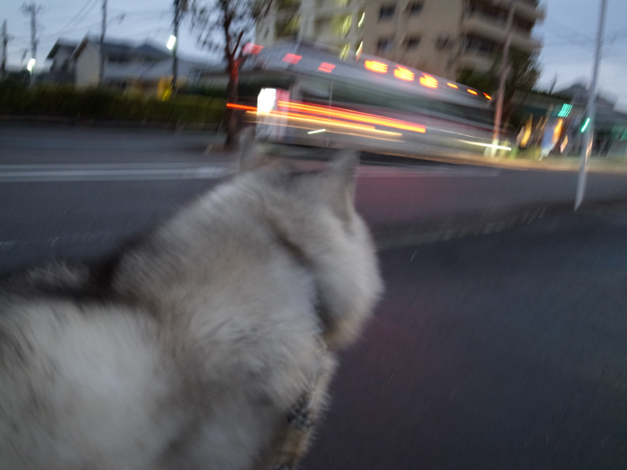 c0049299_22111014.jpg