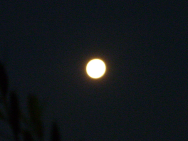 e0326699_16083070.jpg