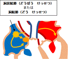 一般健康診断（２２）＠労働安全衛生法_d0364500_09495175.gif