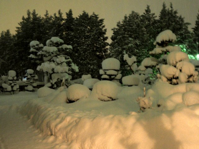 c0008502_20593912.jpg