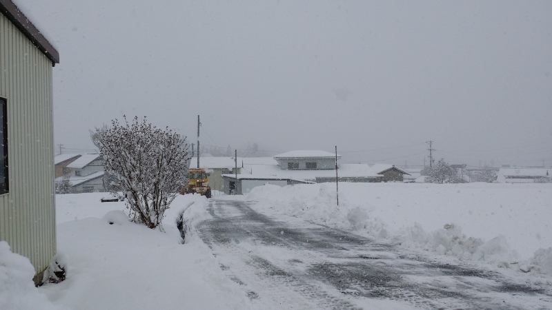 根雪になるかも。_c0320302_11511215.jpg